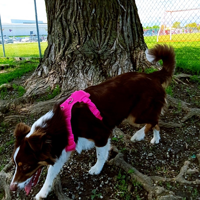 Marcel-Laurin dog park dog park in Saint-Laurent, Quebec