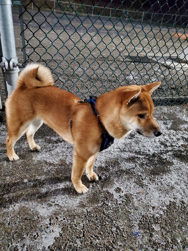 Laval-Ouest dog park dog park in Laval, Quebec