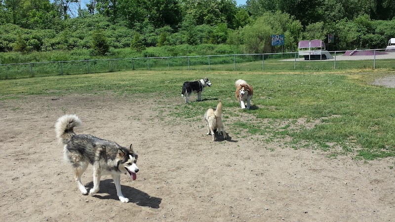 Laval-Ouest dog park dog park in Laval, Quebec