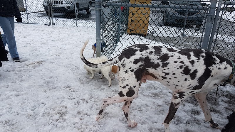 Laval-Ouest dog park dog park in Laval, Quebec