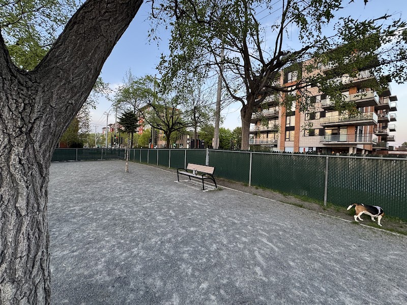 Jean-Talon - Provencher dog park dog park in Saint-Leonard, Quebec