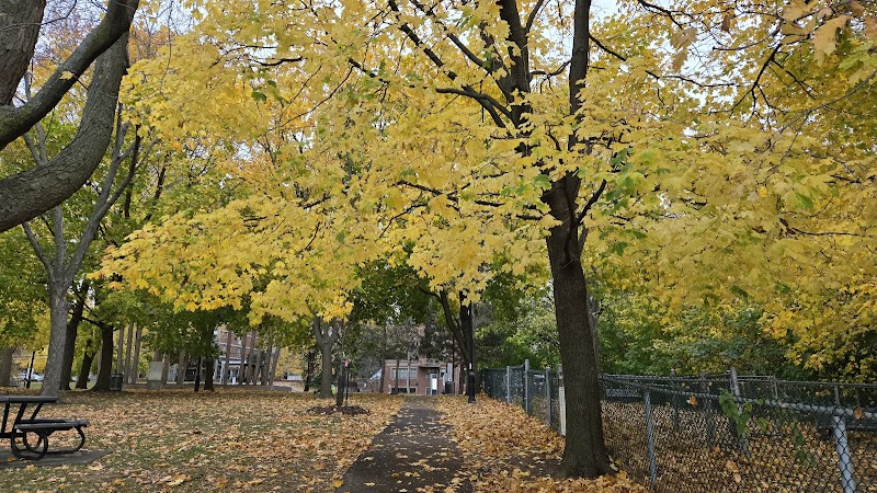 Gouin Park dog park dog park in Montreal, Quebec