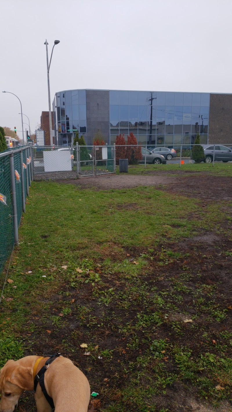 Arthur-Péloquin dog park dog park in Saint-Leonard, Quebec