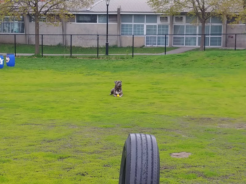 Ahuntsic Park dog park dog park in Montreal, Quebec