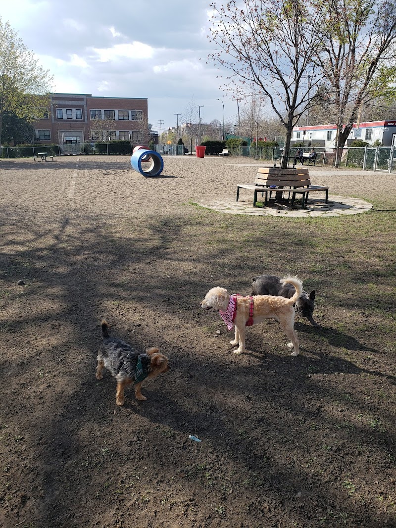 Town of Mount-Royal Dog Park dog park in Montreal, Quebec