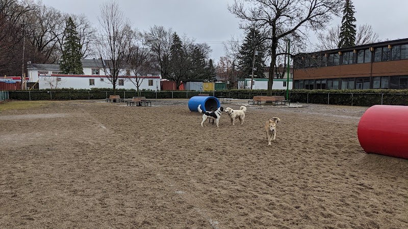 Town of Mount-Royal Dog Park dog park in Montreal, Quebec