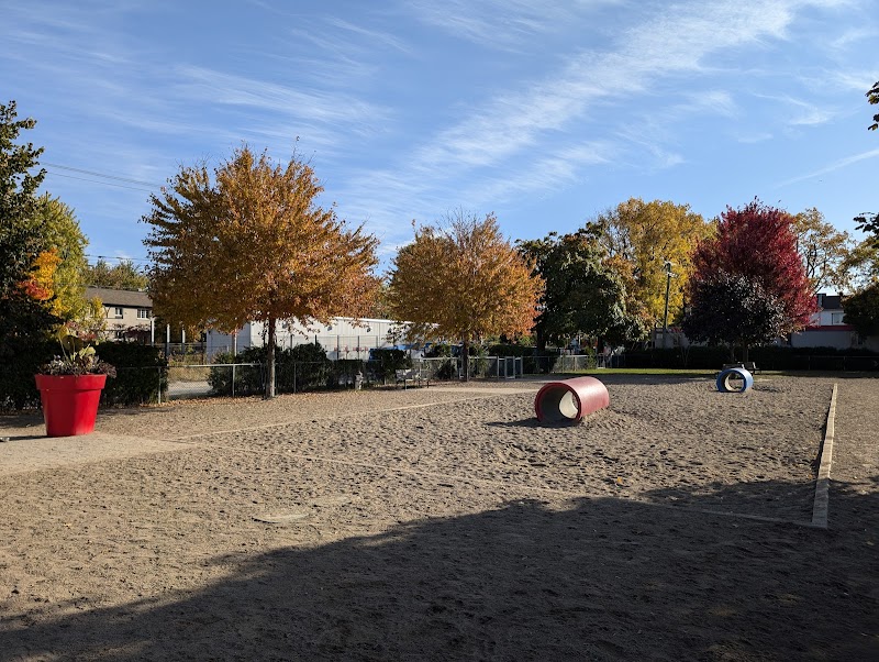 Town of Mount-Royal Dog Park dog park in Montreal, Quebec