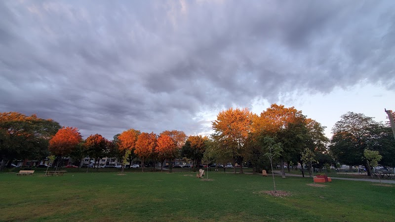 Pere Marquette dog park dog park in Montreal, Quebec