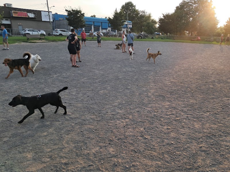 Pere Marquette dog park dog park in Montreal, Quebec