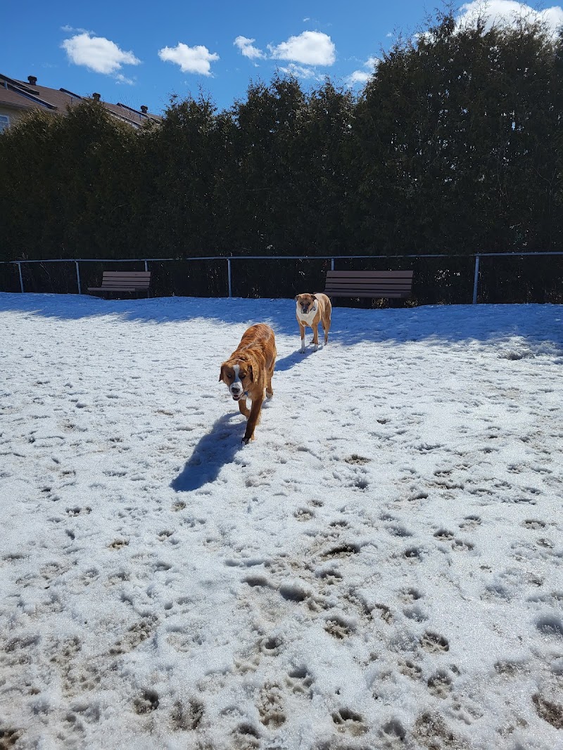 Parc canin Haut-Saint-François dog park in Laval, Quebec