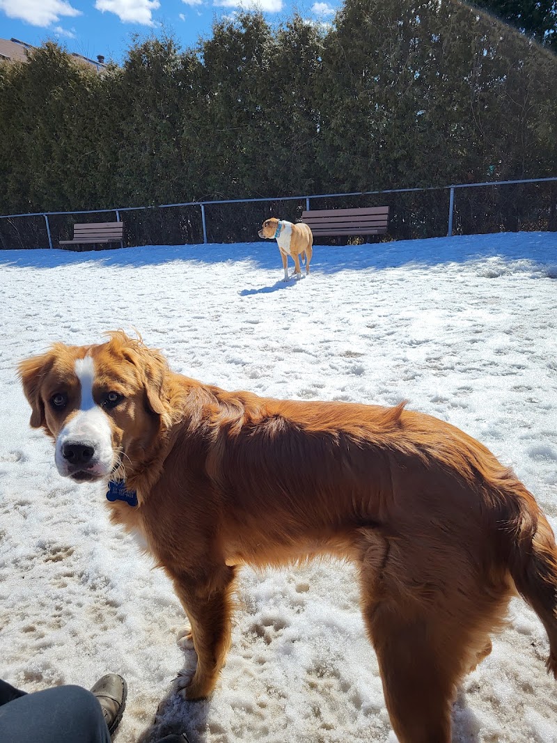 Parc canin Haut-Saint-François dog park in Laval, Quebec
