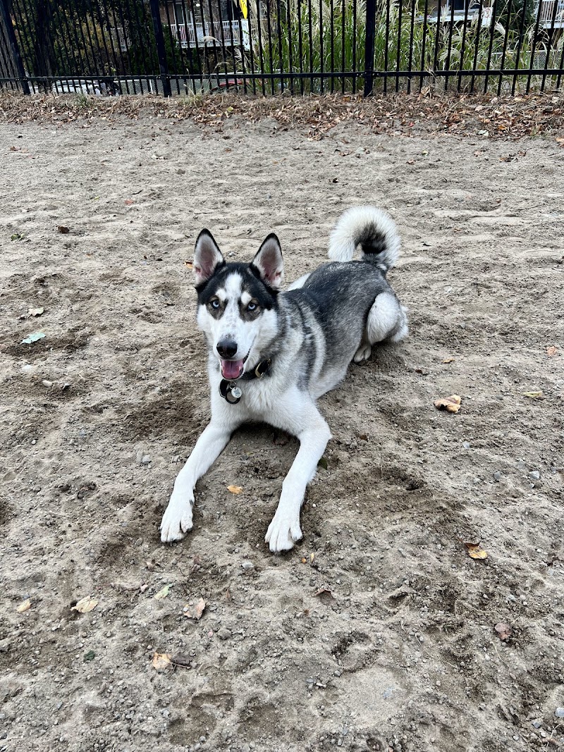 Place de Darlington dog park dog park in Montreal, Quebec