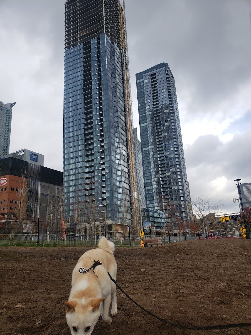 Lucien-L'Allier dog park dog park in Montreal, Quebec
