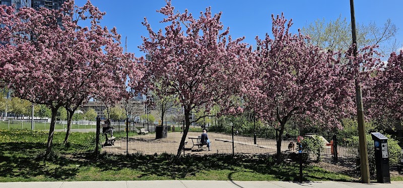 Lucien-L'Allier dog park dog park in Montreal, Quebec