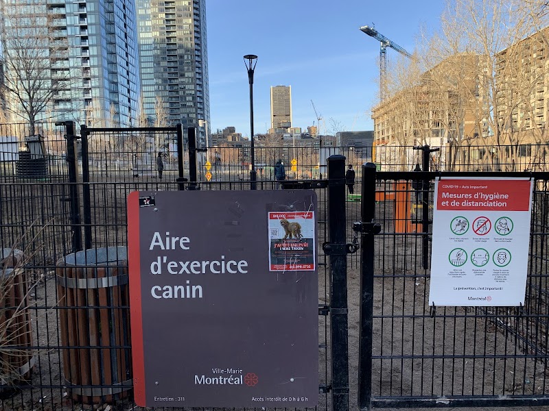 Lucien-L'Allier dog park dog park in Montreal, Quebec