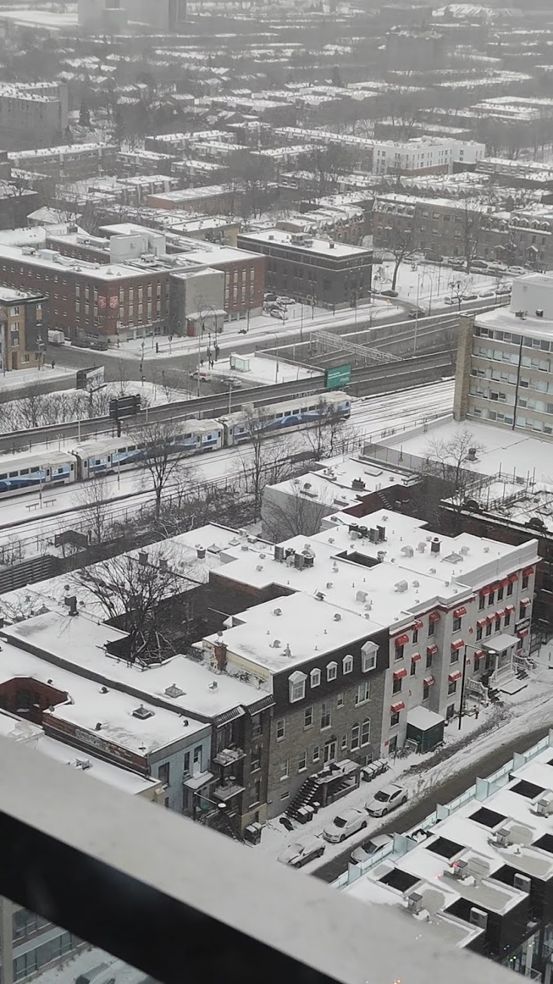 Lucien-L'Allier dog park dog park in Montreal, Quebec