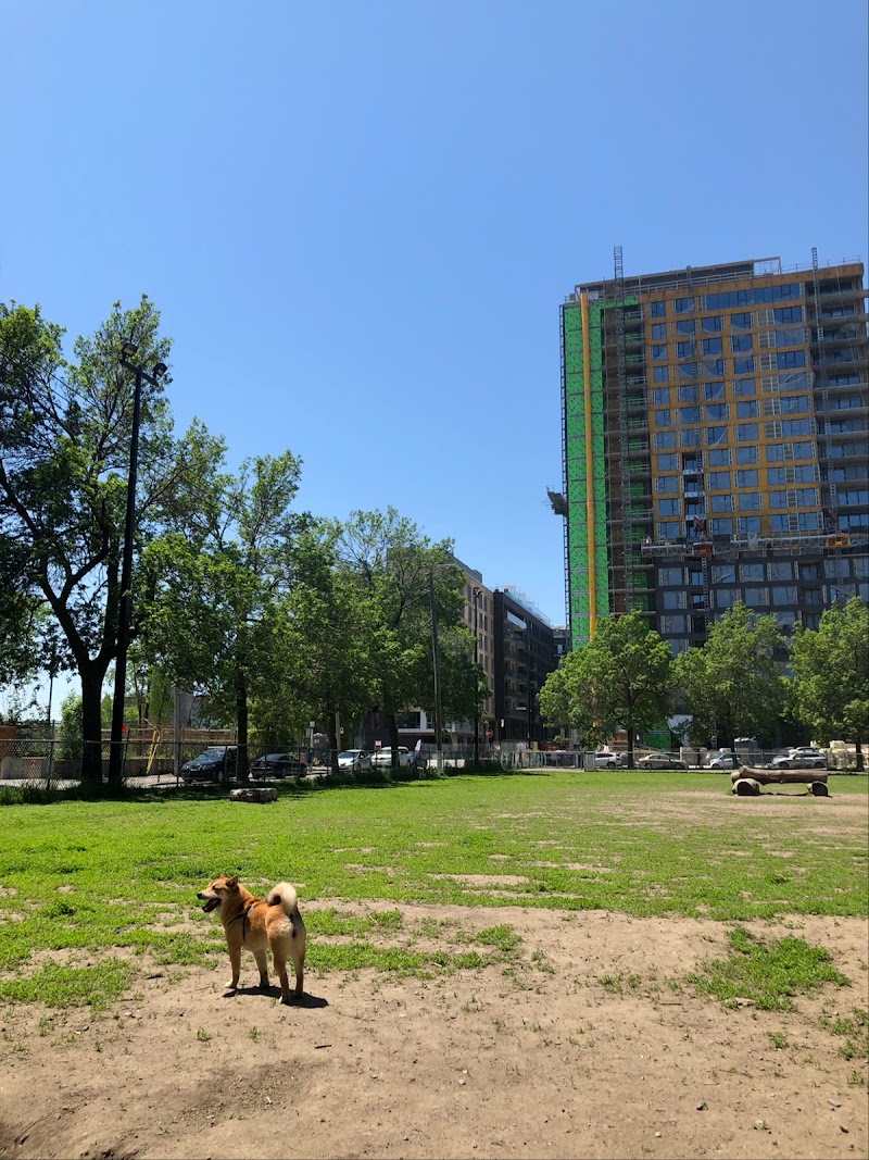 Gallery dog park dog park in Montreal, Quebec