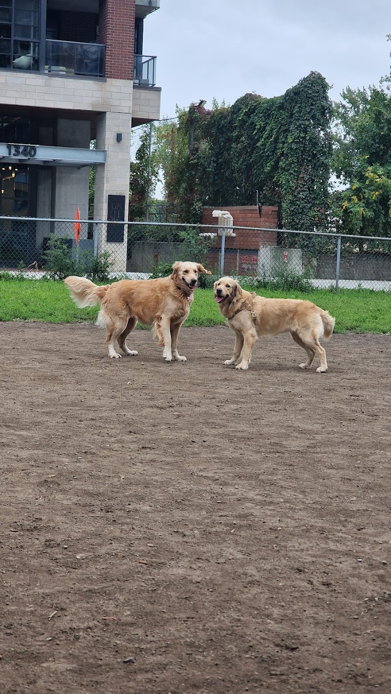Gallery dog park dog park in Montreal, Quebec