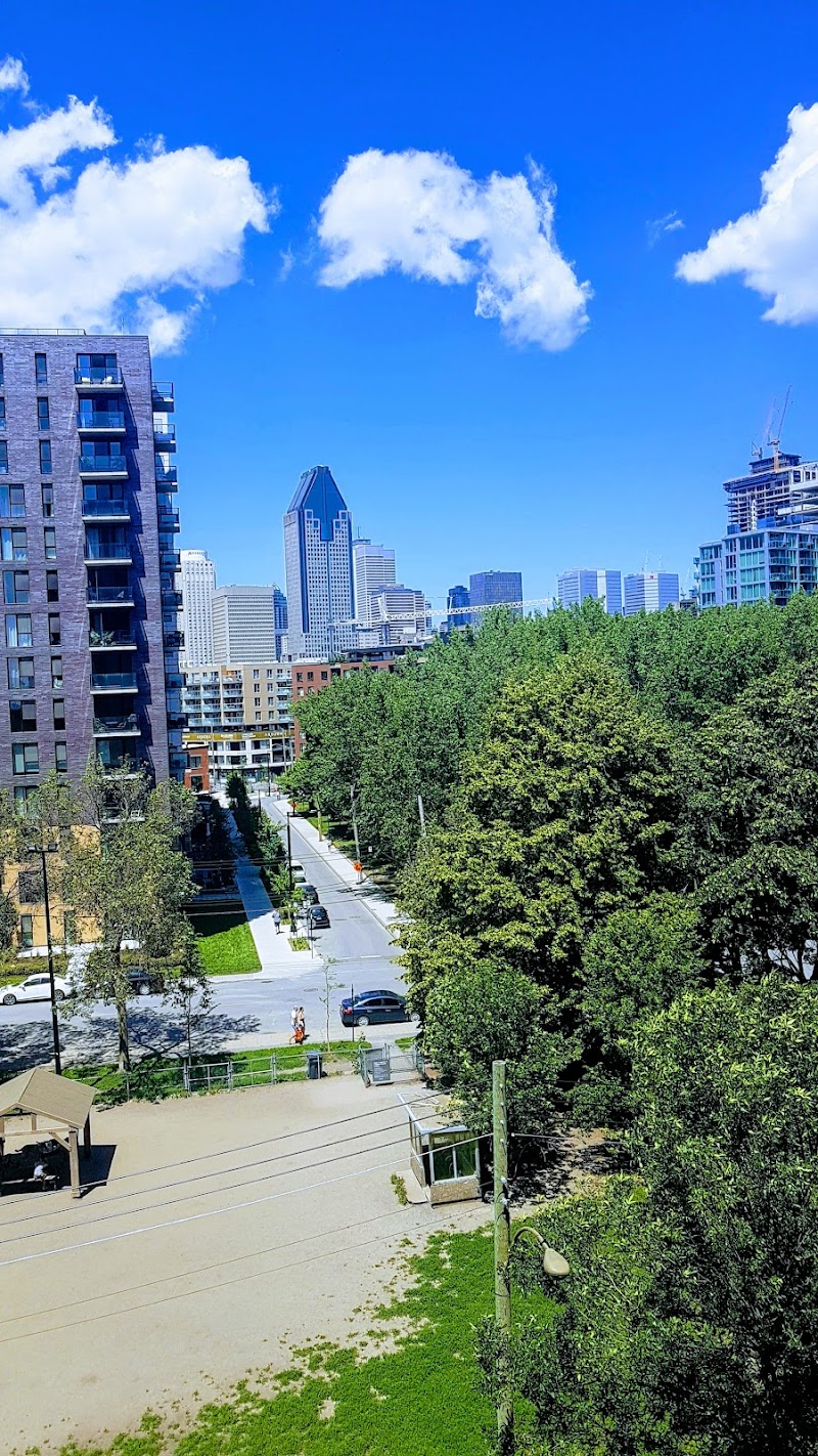 Gallery dog park dog park in Montreal, Quebec
