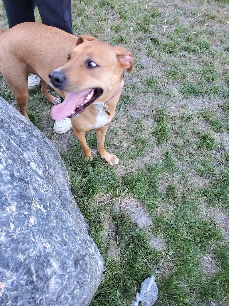 Bande Saint-Antoine dog park dog park in Montreal, Quebec