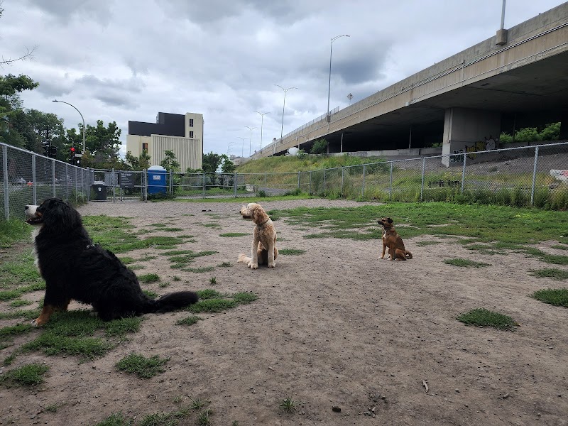 Bande Saint-Antoine dog park dog park in Montreal, Quebec