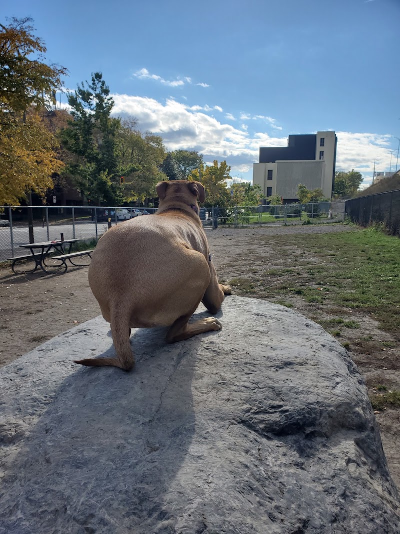 Bande Saint-Antoine dog park dog park in Montreal, Quebec