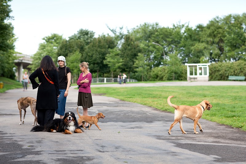 Mali Dog Park dog park in Montreal, Quebec