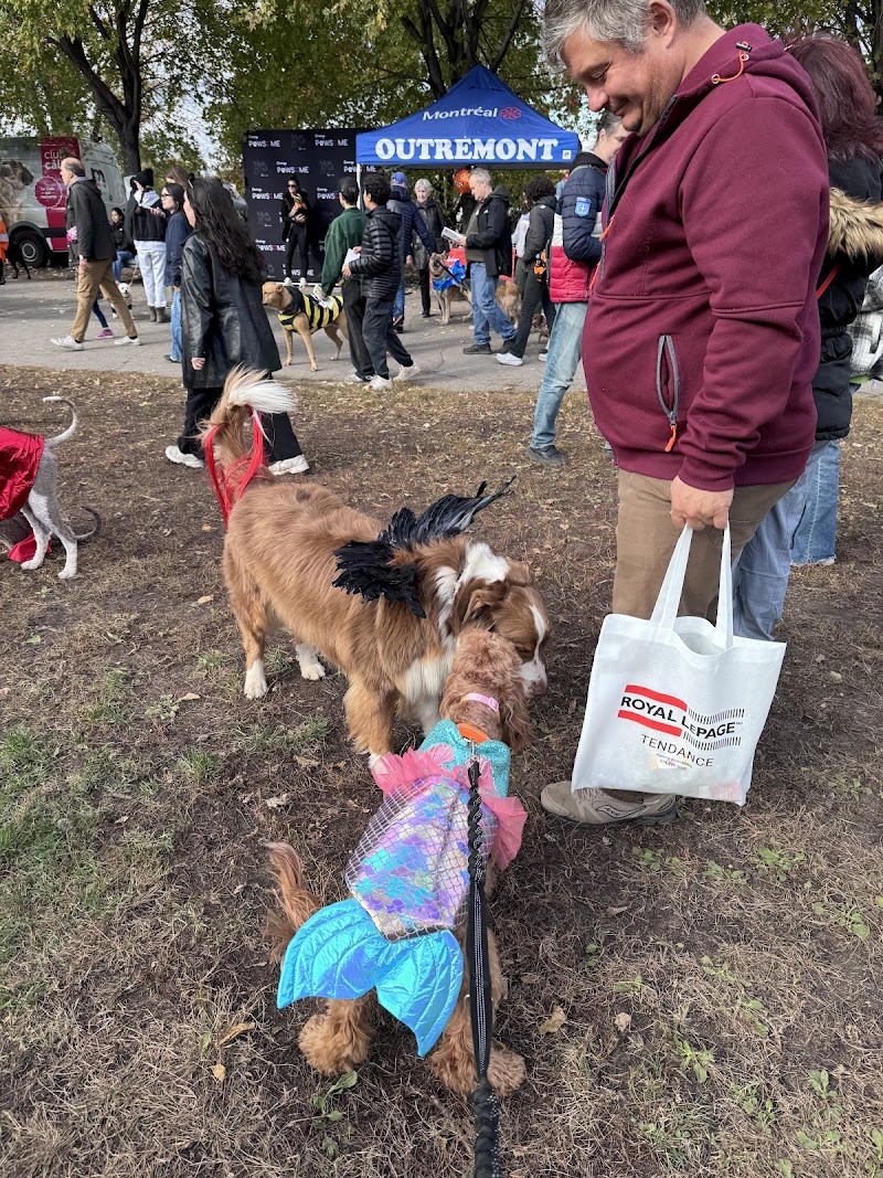 Mali Dog Park dog park in Montreal, Quebec