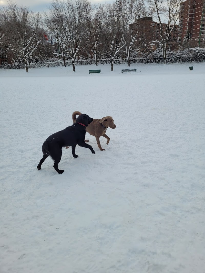 Mali Dog Park dog park in Montreal, Quebec