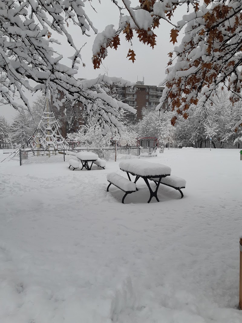 Le Ber dog park dog park in Montreal, Quebec