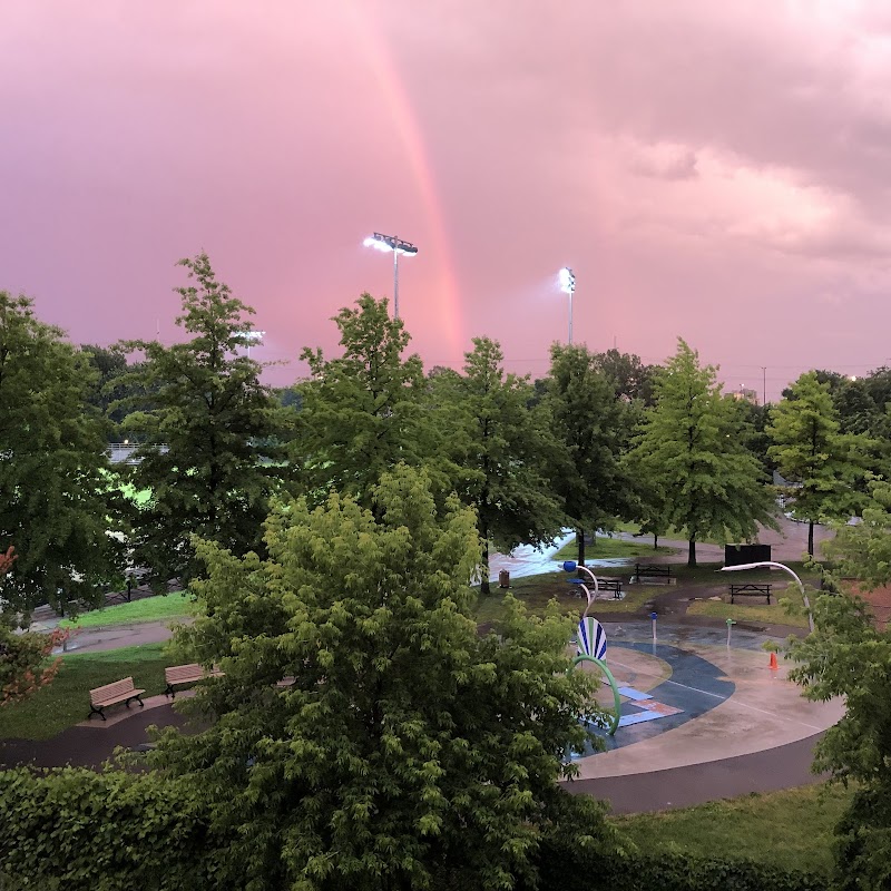 Le Ber dog park dog park in Montreal, Quebec