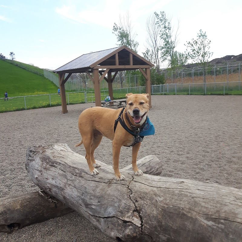 Ignace-Bourget dog park dog park in Montreal, Quebec