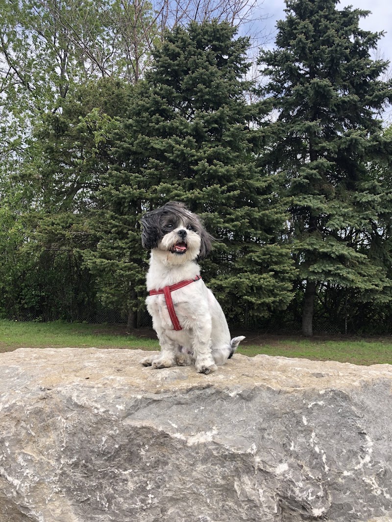 Ignace-Bourget dog park dog park in Montreal, Quebec