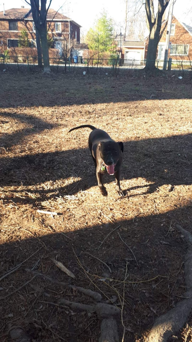 Confederation Park dog park dog park in Montreal, Quebec