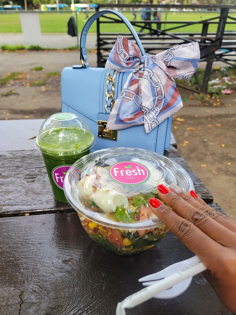 Confederation Park dog park dog park in Montreal, Quebec