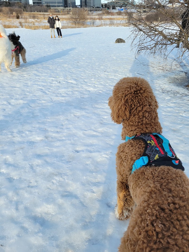Huntington Park Off-Leash Dog Park dog park in Thornhill, Ontario