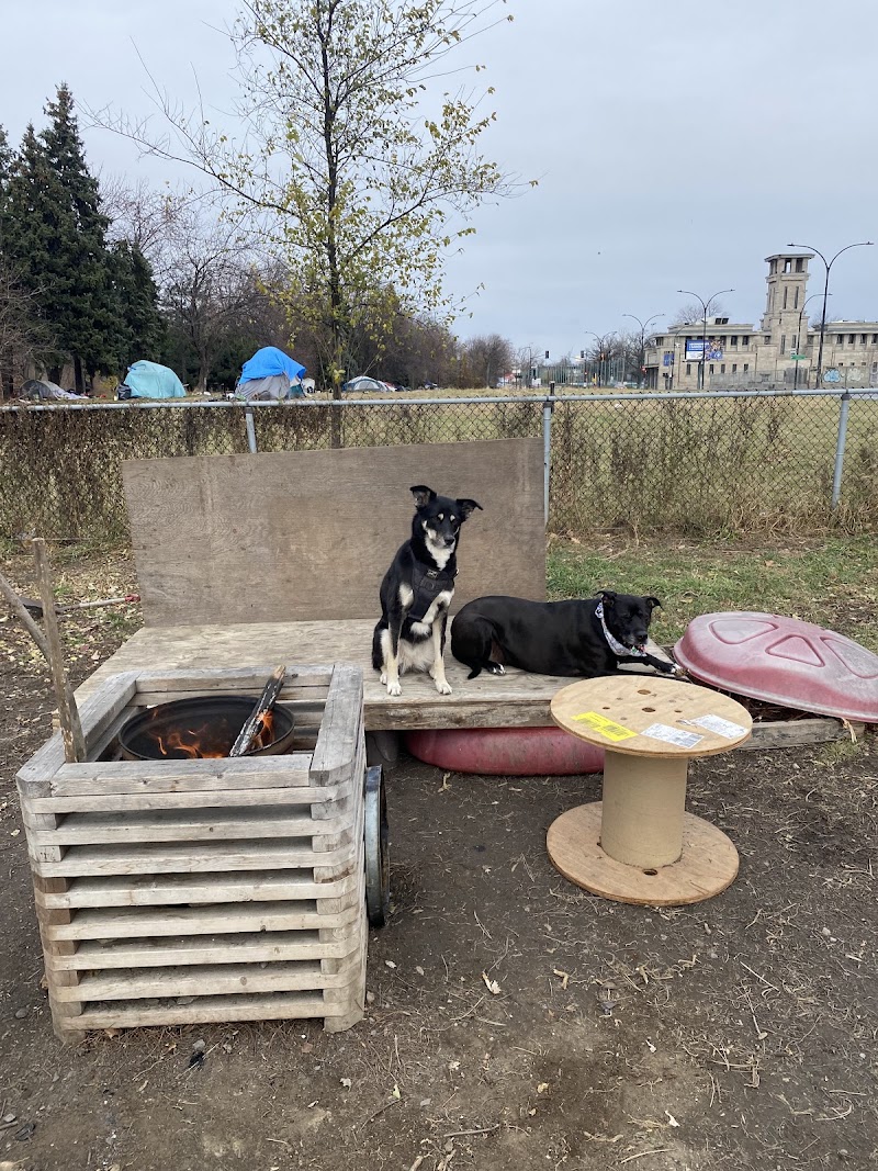 Wolfred-Nelson dog park dog park in Montreal, Quebec