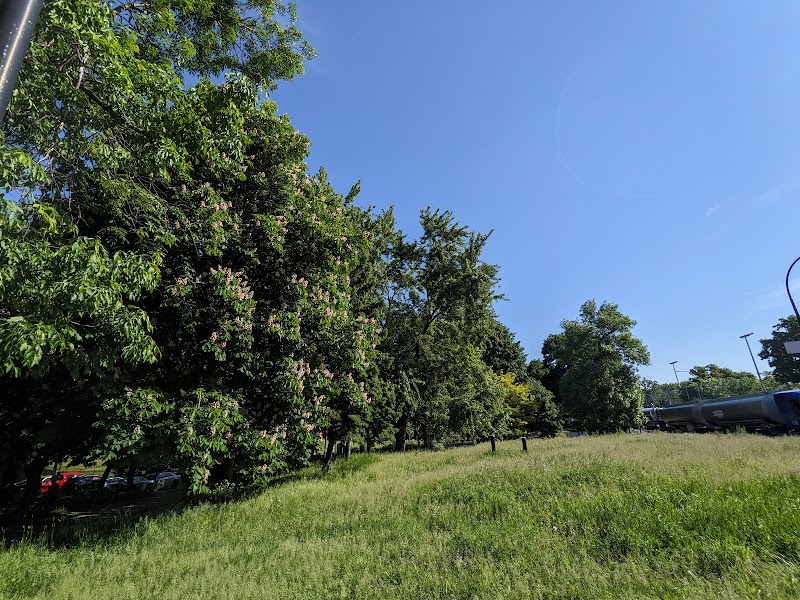 Wolfred-Nelson dog park dog park in Montreal, Quebec