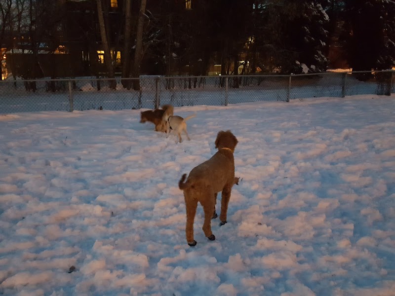 Wolfred-Nelson dog park dog park in Montreal, Quebec