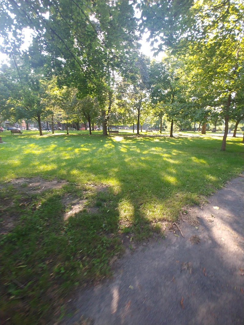 Baldwin Park dog park dog park in Montreal, Quebec