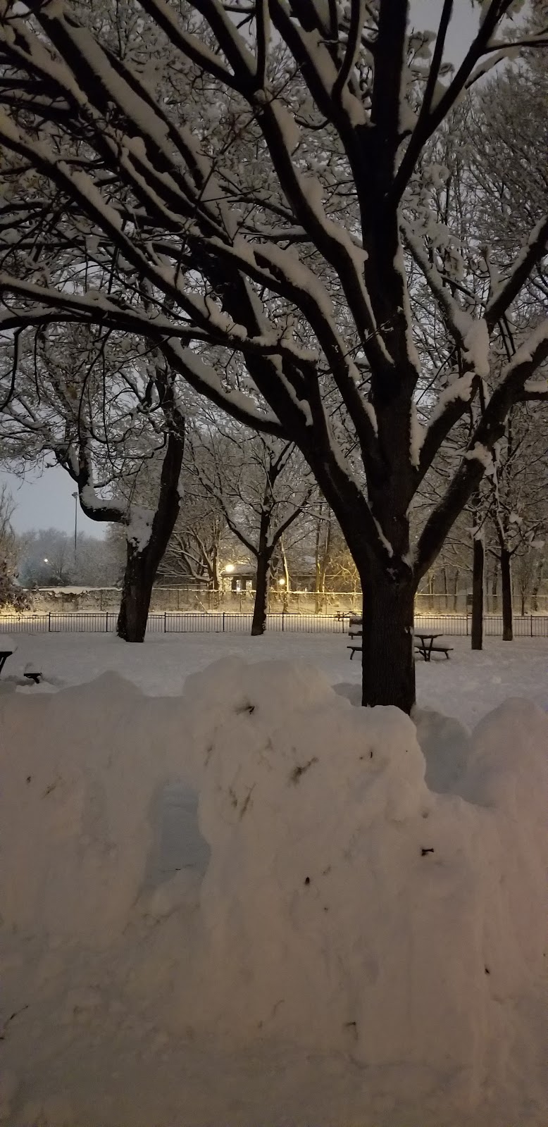Baldwin Park dog park dog park in Montreal, Quebec