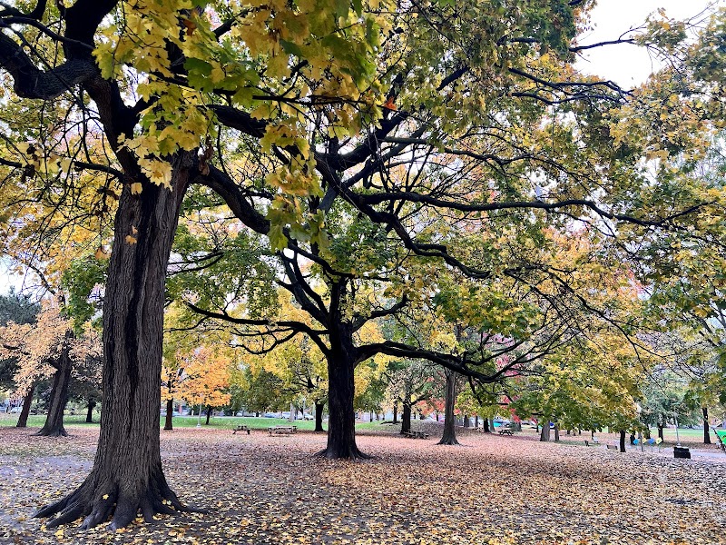 Westmount Park dog park dog park in Westmount, Quebec