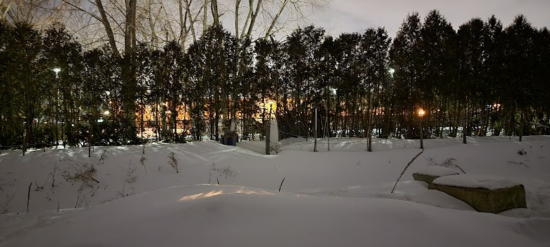 Frederick-Mackenzie dog park dog park in Lasalle, Quebec