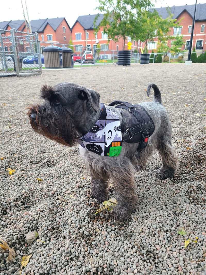Frederick-Mackenzie dog park dog park in Lasalle, Quebec