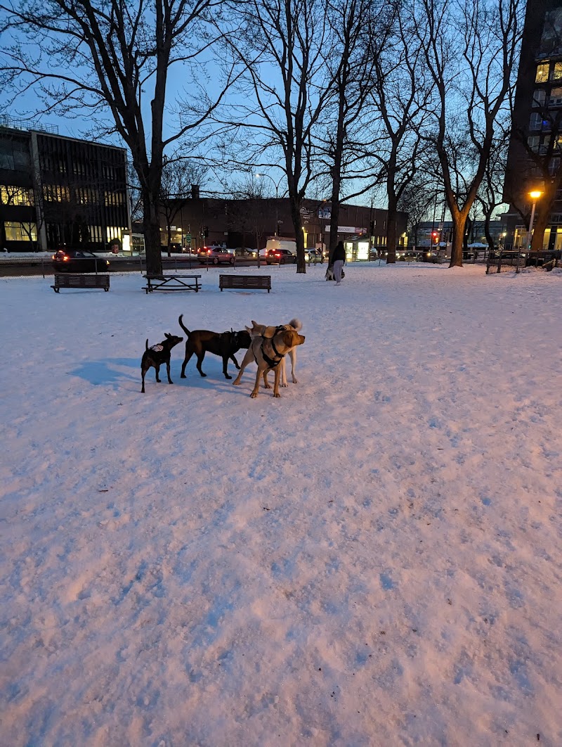 Pelican dog park dog park in Montreal, Quebec