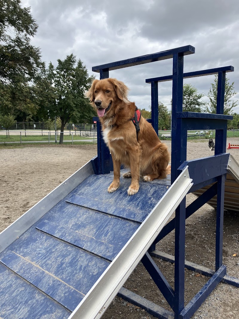 Parc Lafond dog park dog park in Montreal, Quebec