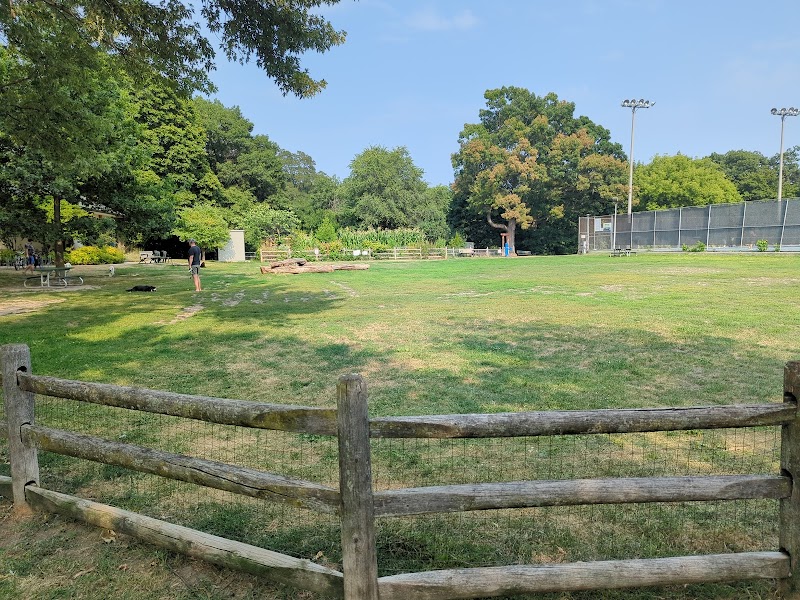 Hillcrest Dogs Off-leash Area dog park in Toronto, Ontario