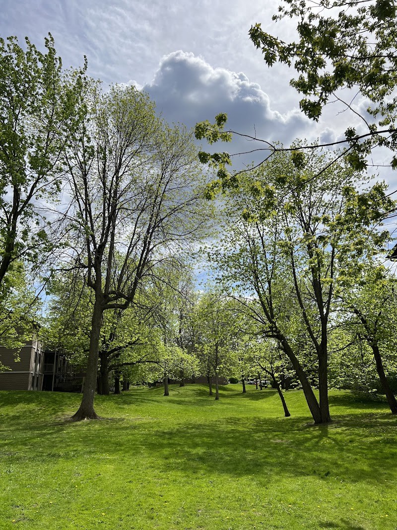 Park of the Fountain Dog Park dog park in Verdun, Quebec