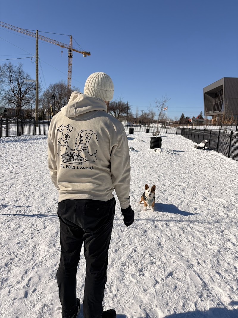 Parc à chien Dupuis dog park in Montreal, Quebec
