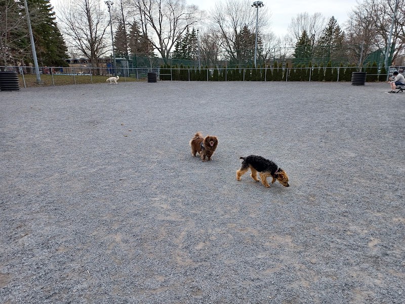 Leroux dog park dog park in Lasalle, Quebec